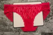 NWT VICTORIA'S SECRET M RED HEART SCALLOP LACE MESH LOGO RARE BIKINI PANTIES