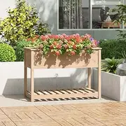 Raised Garden Bed, Elevated Planter Box Plant Container with Shelf 111.5x54x81 cm Solid Wood Pine