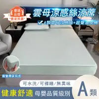 在飛比找蝦皮購物優惠-素色冰絲涼蓆墊 單人 雙人 加大 涼席 涼墊 遊戲墊 瑜珈墊