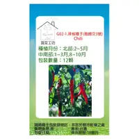 在飛比找PChome24h購物優惠-【蔬菜工坊】G02-1.辣椒種子(雅緻交3號)