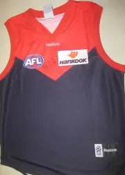 Melbourne - Aaron Davey # 36 signed Melbourne FC Jersey + COA & Photo proof