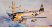 Hasegawa 1/48 P-47D-25 Thunderbolt #09140 *sealed*
