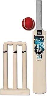 Gunn & Moore GM Young Gunn Mini Cricket Set | Diamond B55S | Miniature 15" Bat, Stumps, Bails and Soft Ball | One Size