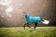 Amigo Bravo 12 Plus Turnout Blanket (100g Medium-Lite, 0g Hood, Disc Front)