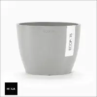 在飛比找momo購物網優惠-【HOLA】Ecopots 斯德哥爾摩 16cm 環保盆器 