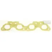 Platinum Extractor Gasket - HSM300