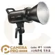 ◎相機專家◎ Godox 神牛 SL100Bi LED 攝影燈 100W 雙色溫 棚燈 持續燈 SL100D 公司貨【跨店APP下單最高20%點數回饋】
