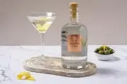 TEMPUS TWO PROSECCO GIN