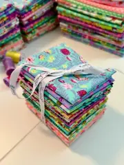 Tula Pink Untamed 24 pc Fabric Bundles