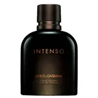 在飛比找香水1976優惠-Dolce & Gabbana Intenso 紳士馥郁版男