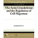 The Actin Cytoskeleton and the Regulation of Cell Migration