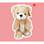 【全新】懷舊/標籤還在/可愛泰迪熊/TEDDY BEAR娃娃/小熊鉛筆盒/熊熊文具/泰迪玩偶