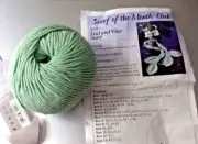 Nashua Handknits Yarn 1 Ball Cilantro Color with Leaf & Vine Scarf Pattern