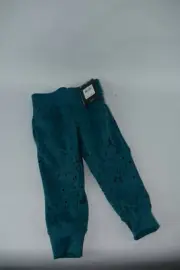 NWT! $44 Toddler Kids Nike Jordan Jumpman Blustery Pants sz 2T training jogger