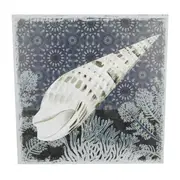 Canvas Print Nautical Sealife Cone Shell 50x50cm Stretched & Framed Ready to Hang