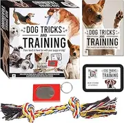 Dog Tricks and Training Box Set (Create Your Own Craft Kit) (Dogs) (Pet Training)