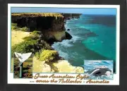 A2867 Australia Great Australian Bight Nullarbor Cliffs Whale Davric postcard