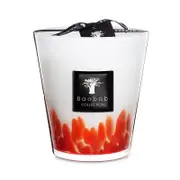 Baobab Collection Max 16 Feathers Maasai Candle
