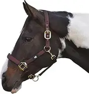Hy Grand Prix Head Collar (UK Size: Pony) (Chocolate Brown)