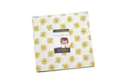 Moda Rainbow Garden Layer Cake Fabric by Abi Hall Quilting Sewing