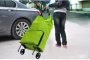 Foldable Deluxe Trolley Bag Travel Shopping Luggage Suitcase Handbag Fit