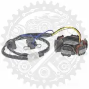 101 Octane Stator For Peugeot Elyseo 100 G 2 A