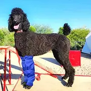 vomvomp Waterproof Dog Leggings Dogs Leg Covering Protector for Poodles Long Haired Dogs on Rainy or Snowy Days