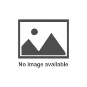 MSD IGNITION Coil Ford Godzilla 7.3L 8-Pack Black 828383 (for: Ford)
