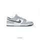 NIKE DUNK LOW "Light Carbon" 淺炭灰 霧灰 休閒鞋 男鞋【FJ4188-100】