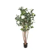 [Florabelle Living] Camellia Japonica Tree White 1.6M