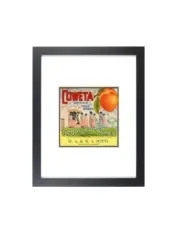 Angora Orange Ontario Retro White Cat Fruit Crate Label Matted Framed Art Print