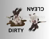 ENGLISH SPRINGER SPANIEL Clean Dirty Dishwasher Flexible Magnet