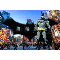 在飛比找蝦皮購物優惠-二手老物系列 蝙蝠俠 DC Collectibles Bat