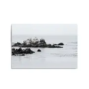 Wild Rocks Coastal Photograph Wall Art