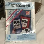 NEW Vintage TRANSGRAPH-X Design Your Own Needleart 6 Graphs with Instructions