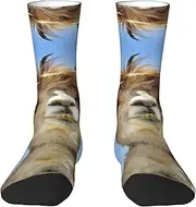 [EdWal] Soft Funny Alpaca Llama print Moisture Wicking Socks Sports Socks for Men and Women Warm thermal Boot Hiking Socks