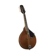 Kentucky, 8-String Mandolin, Transparent Brown (KM-276) Kentucky