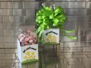 Get Well Soon Gift Box-Basket And 1/2 LB Starlight Peppermint Candy & Green Bow
