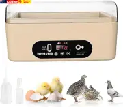 Chicken Egg Incubator, Automatic Egg Hatching Incubator, 4-6 Mini Digital Poultr