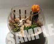 Miniature Barbed Wire Rustic Model Crafts Train Scenery Fence Barb Grass Skull