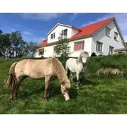 Öndólfsstaðir Farm B&B