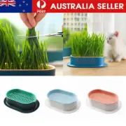 Catnip Planting Box with Seeds Cat Grass Growing Box Pet Accessory for Cats