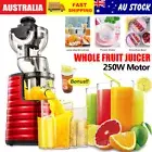250W Slow Juicer Cold Press Vegetable Processor Vegetable Fruit Juice Extractor