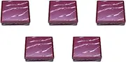Set of 5, 8 Inch Fixed Bento Box, Silver Vermilion Running Water [Shokado]