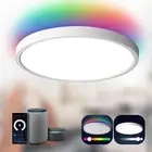 Smart Ceiling Light Flush Mount LED Wifi,Compatible with Alexa Google Home,Dimma