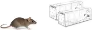 Humane No Kill Live Catch and Release Mouse Traps Indoor for Home, Reusable - 2