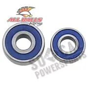 1978-1981 Suzuki DS100 Dirt Bike All Balls Rear Wheel Bearing & Seal Kit