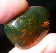 Large Cricket in Beautiful GREEN Dominican Amber Fossil Gemstone