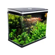 Dynamic Power Aquarium Fish Tank 52L Curved Glass RGB LED