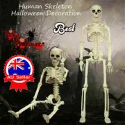 40cm Poseable Human Skeleton Prop Halloween Party Decoration New RK